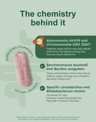 Illustration of Christensenella minuta for GutRx BALANCE