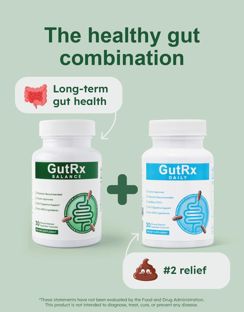 Illustration of Lactobacillus plantarum for GutRx BALANCE