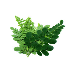 Gye Nyame Black Seed Bitters Moringa pour over glass illustrates versatile flavor use.