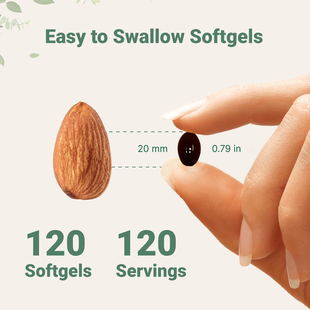 Haematococcus Pulvialis microalgae source for astaxanthin