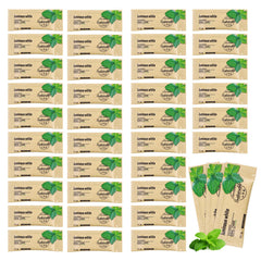 HAIFOTRVA 100-pack mini toothpaste in kraft paper bag