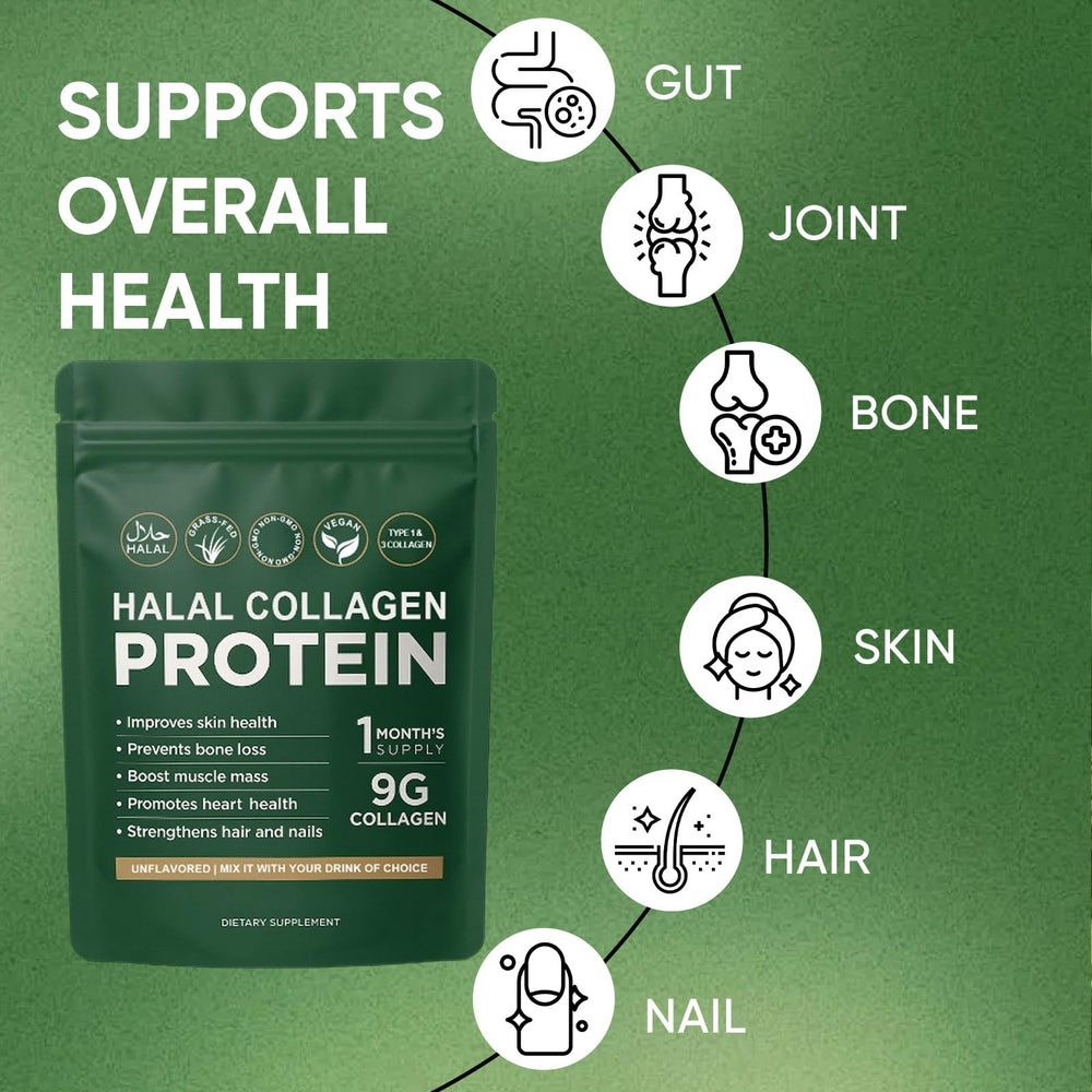 Digestive system illustration highlighting gut support