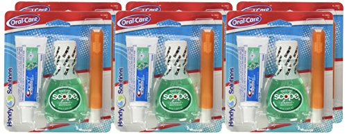 Folding toothbrush from Handy Solutions Travel Kit