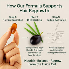 HANSODAP packaging and branding on bottle box