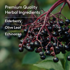 User-friendly dosing: 1 teaspoon for daily support