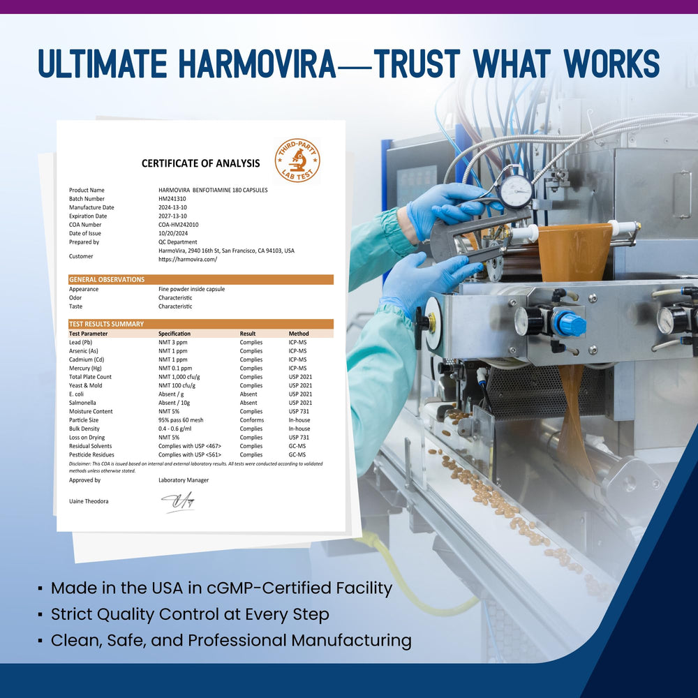 Illustration of metabolism, energy and cognitive benefits