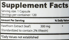 Digestive health benefits iconography for Hawthorn Berry