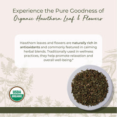 Close-up of hawthorn leaves and white flowers