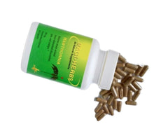 Traditional Chinese Medicine herbal formula for hernia relief