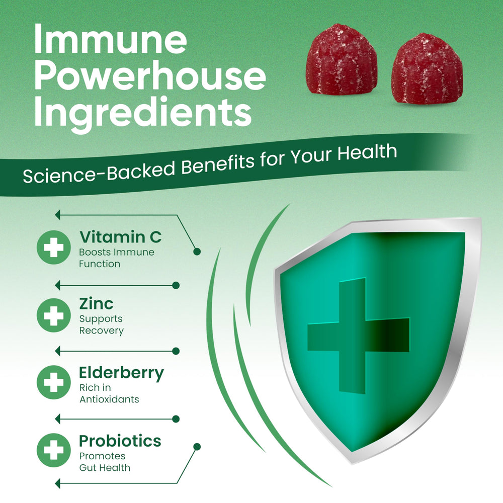 Elderberry, turmeric and echinacea ingredients displayed for immune support