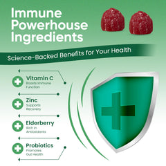 Elderberry, turmeric and echinacea ingredients displayed for immune support