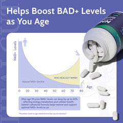 Diagram of NMNH high bioavailability and cell uptake