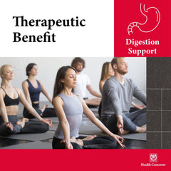 Digestive wellness concept with traditional Chinese herbs