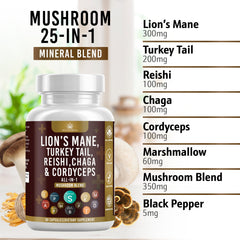 Lion's Mane mushroom ingredient close-up for Health Heals blend
