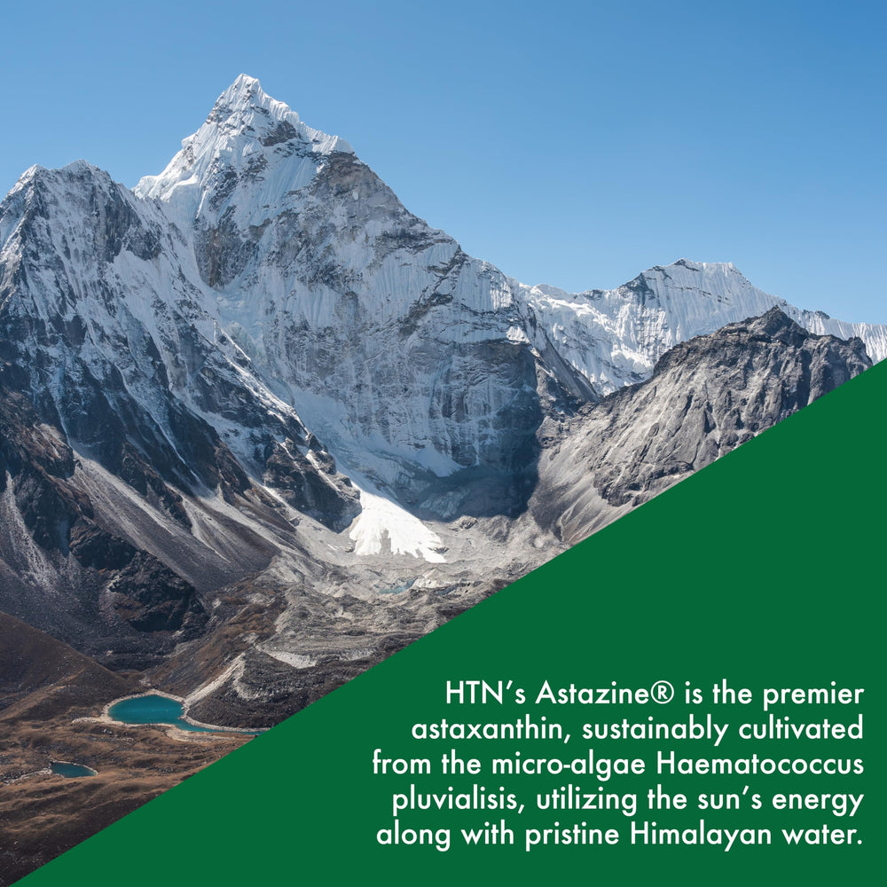 AstaZine algae grown in pristine Himalayan water