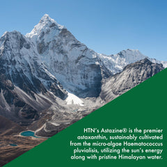 AstaZine algae grown in pristine Himalayan water