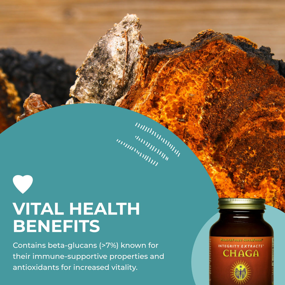 Chaga powder in a resealable pouch with scoop