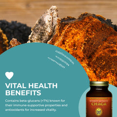 Chaga powder in a resealable pouch with scoop