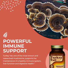 HealthForce Turkey Tail Capsules nutrition/ingredients