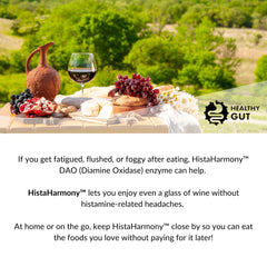 Lifestyle image promoting gut health and comfort