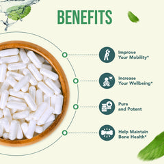 HealthyWayRx SAM-e capsules inside bottle