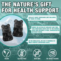 Back packaging image with supplement facts