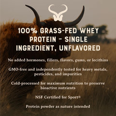 HEART & SOIL whey concentrate unflavored powder scoop closeup shows pure protein for quick recovery.