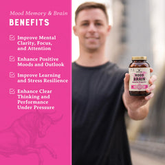 DHA and EPA ingredients highlighted for HEART & SOIL Brain Supplement