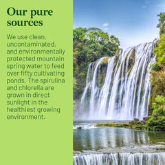 Heavy metal detox support from spirulina and chlorella