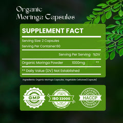 Close-up of Moringa leaf powder capsules