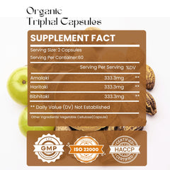 Triphala ingredients Amla Haritaki Bibhitaki illustration