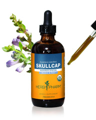 Herb Pharm Skullcap bottle ready for daily nervous system support with easy dosing.