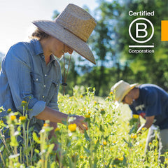 Herb Pharm Usnea sustainable lichens habitat image highlights raw ingredients for authentic cleansing possibilities.