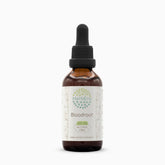 Hero image: HerbEra Bloodroot Tincture B60 in a 2 oz bottle