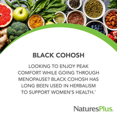 Close-up of Black Cohosh tablets for menopause support