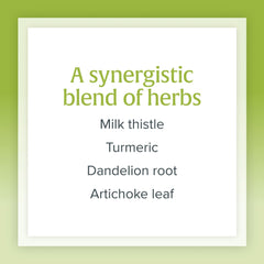 Natural Factors HerbalFactors branding