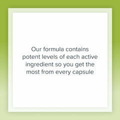 Herbal ingredients close-up