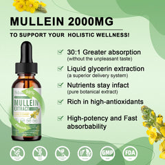 Graphic showing the nine potent herbal ingredients