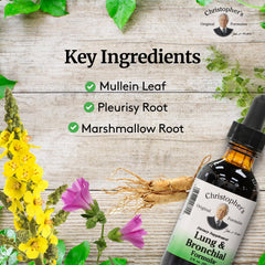 Herbal ingredients used in lung bronchial formula