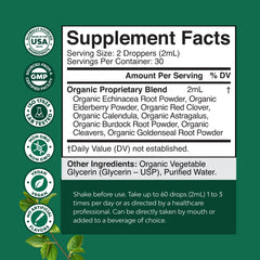 Illustration of herbal ingredients for lymphatic cleanse