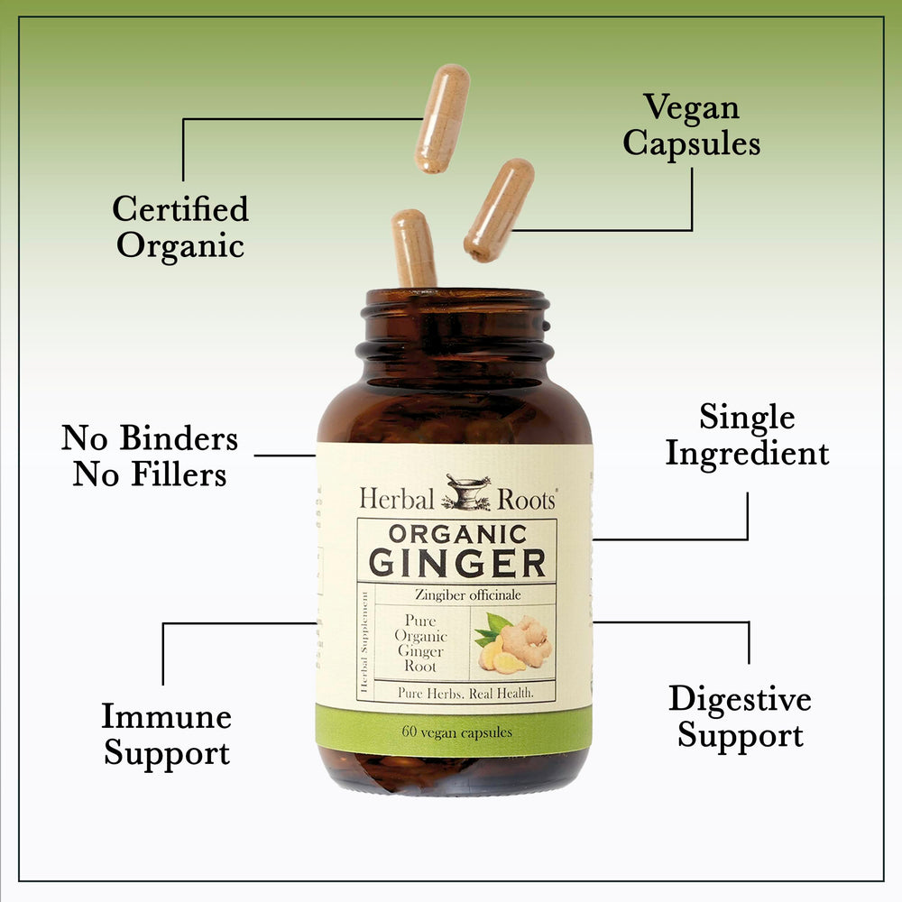 Nutrition and ingredients label on Ginger Supplement bottle