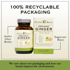 No binders or fillers claim on packaging of Ginger Supplement