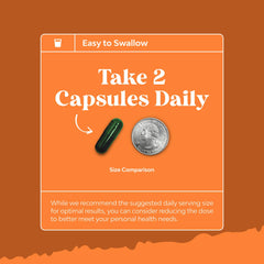 Vitamin B12 and other vitamins highlighted on packaging