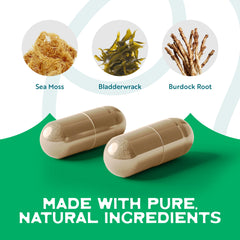 Graphic representing immune support from Herbal Vineyards supplement