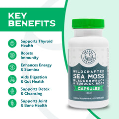 Close-up of Irish sea moss (Chondrus crispus) image for Herbal Vineyards supplement