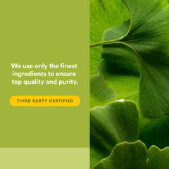 Ginkgo biloba leaves illustration for HerbalFactors