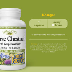 Illustration showing healthy veins and capillaries