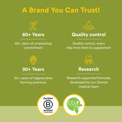 Antioxidant support for circulatory system