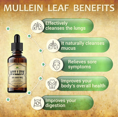 HERBALICIOUS Mullein Drops bottle against light signals clean USA-made formula for everyday use