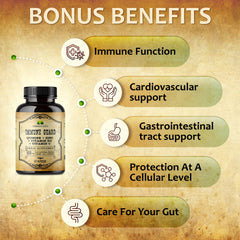 Single 500 mg quinine capsule on white background